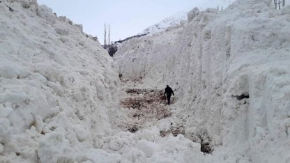 Yüksekova'da çığ meyve bahçelerini yuttu: Köy yolu kar tünelleriyle açılıyor