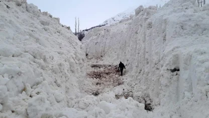 Yüksekova'da çığ meyve bahçelerini yuttu: Köy yolu kar tünelleriyle açılıyor