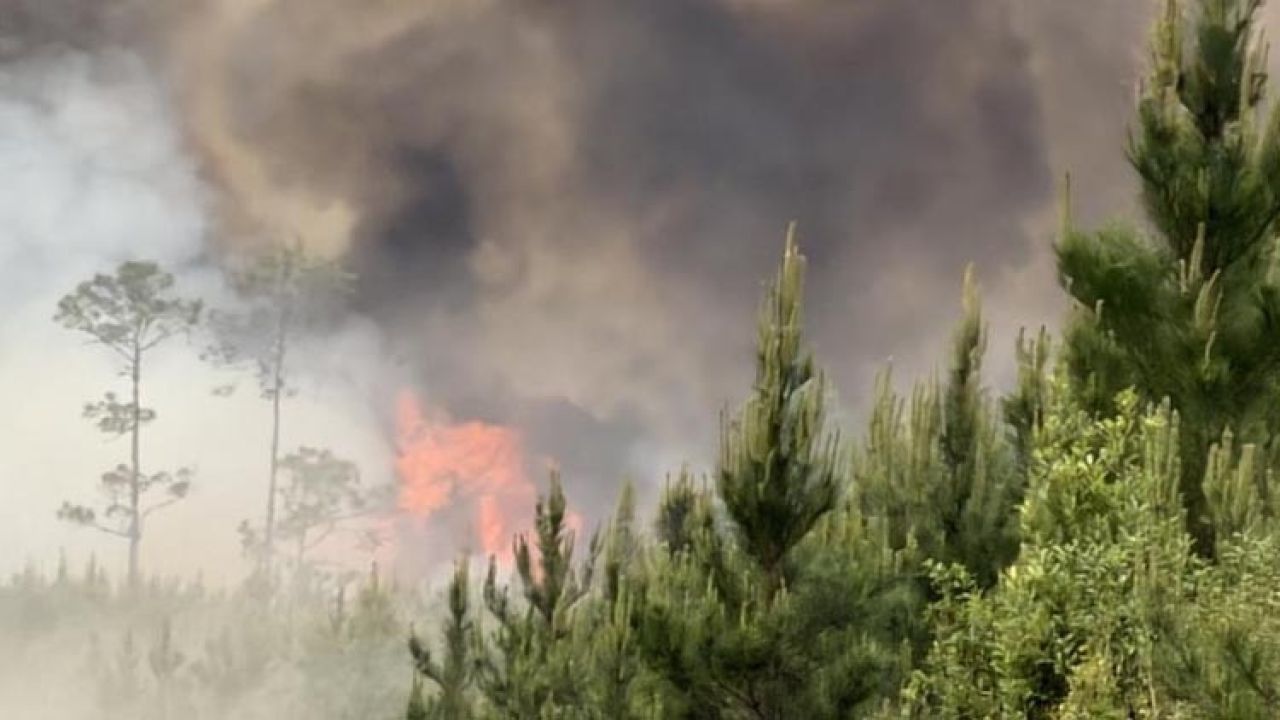 ABD'de orman yangını: 54 ev ve 27 bin dönüm küle döndü