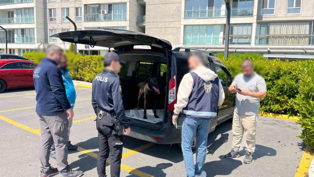 Avcılar’da köpeğe kötü muamelede bulunan şahıs yakalandı