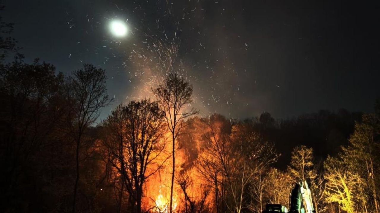 Beykoz'daki orman yangını! 9 saatte kontrol altına alındı
