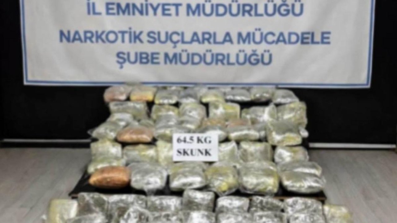 Hakkari’de 64,5 kilogram skunk ele geçirildi