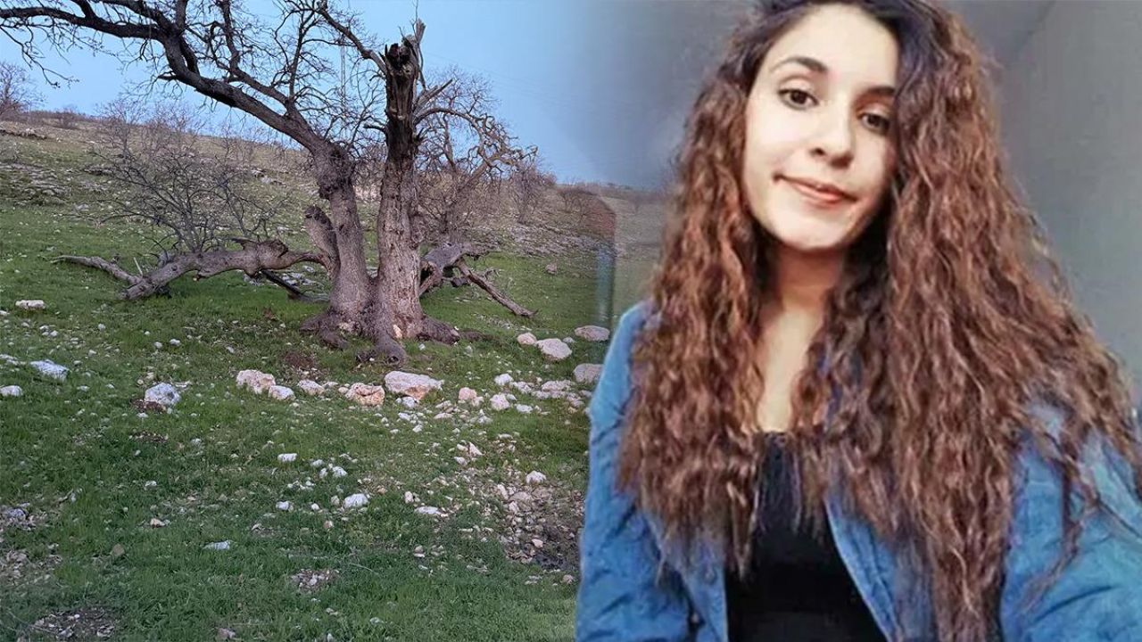 Mezar yeri bulundu! Gülistan Doku aramasında 'terör örgütü' ihtimali