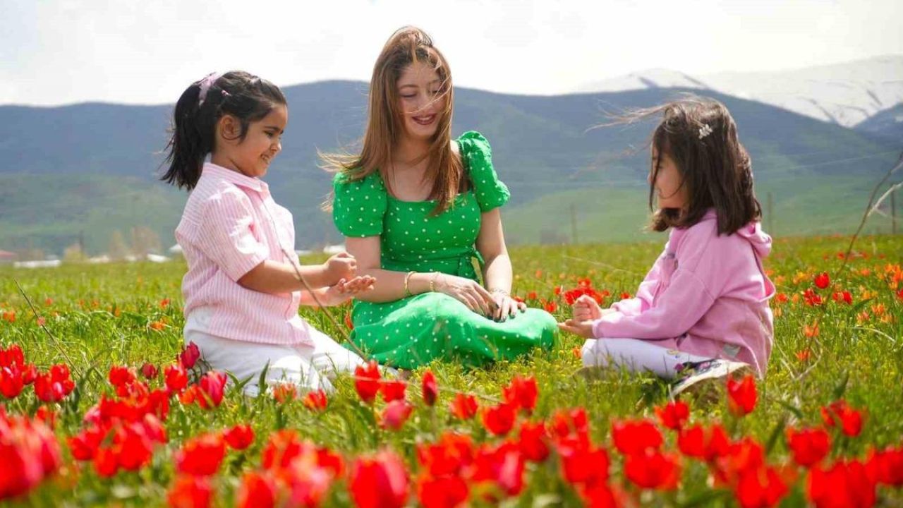 Muş lalesi ovayı kırmızıya boyadı