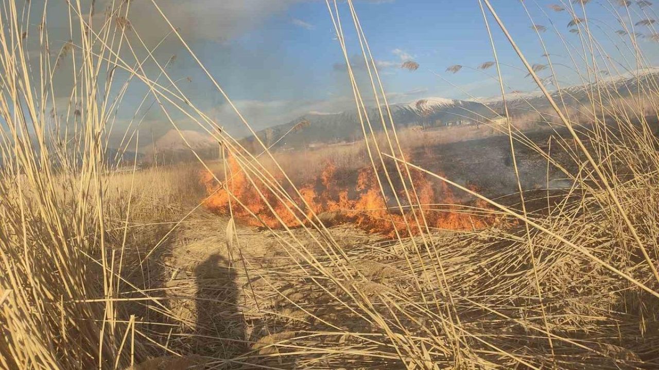 Van’ın Muradiye ilçesinde sazlık yangını