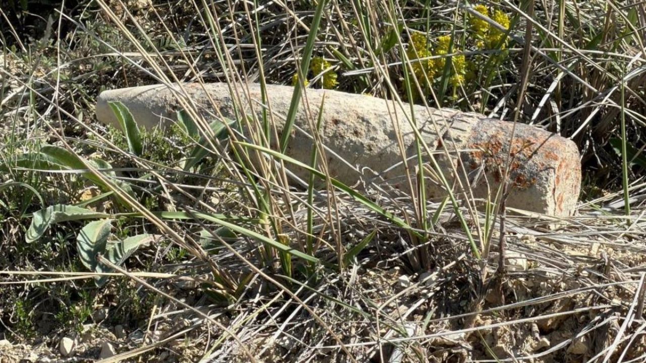 Yer: Ankara! Mantar ararken patlamamış top mermisi buldu: "Bırakıp kaçtım"