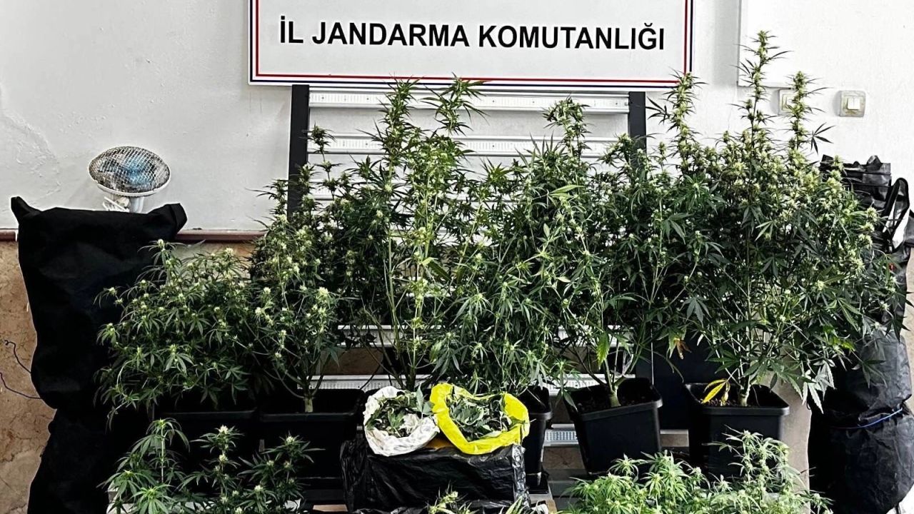 Bursa’da kilolarca esrar ve skunk ele geçirildi