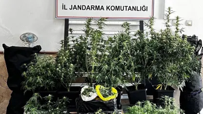 Bursa’da kilolarca esrar ve skunk ele geçirildi