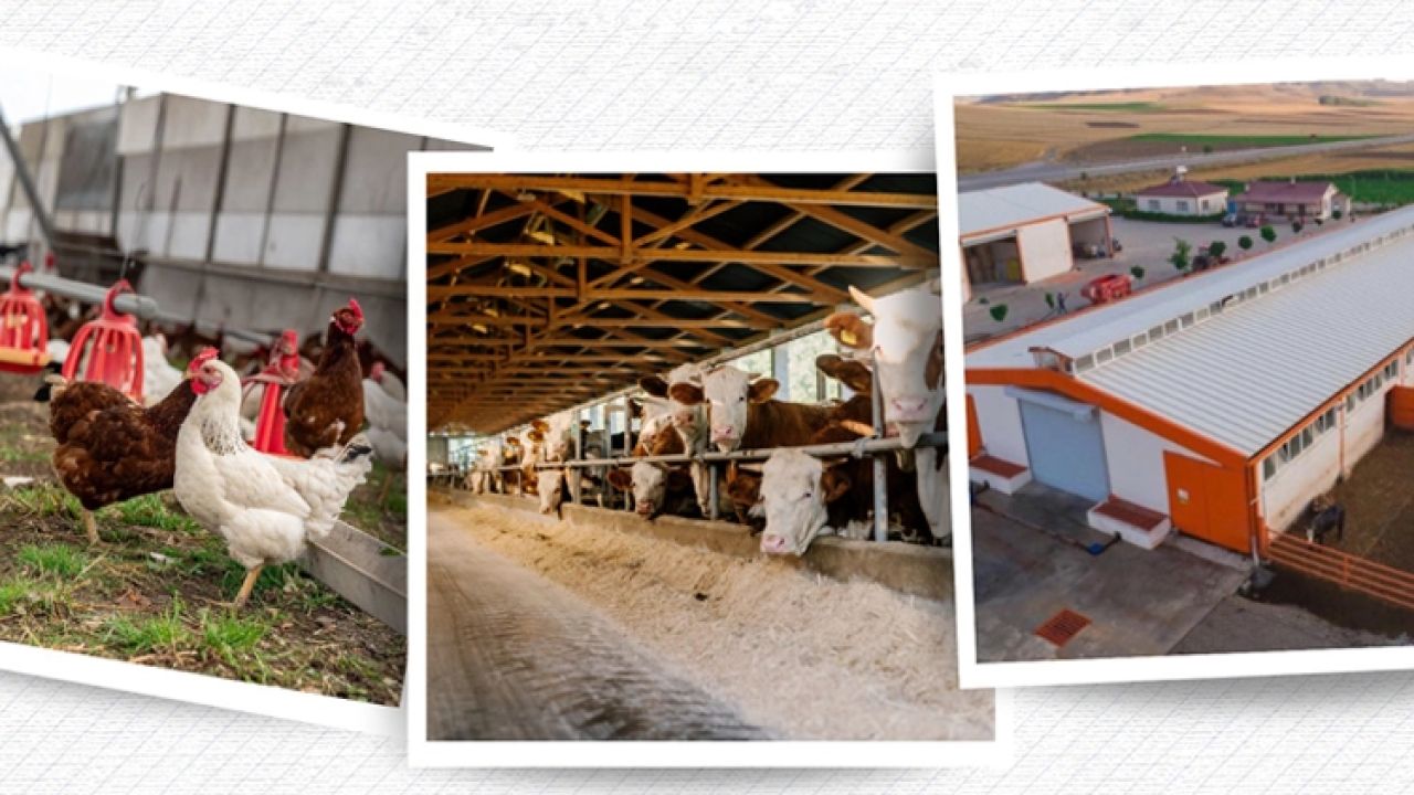 IPARD III sonuçları açıklandı... 218 projeye 2,5 milyar TL hibe